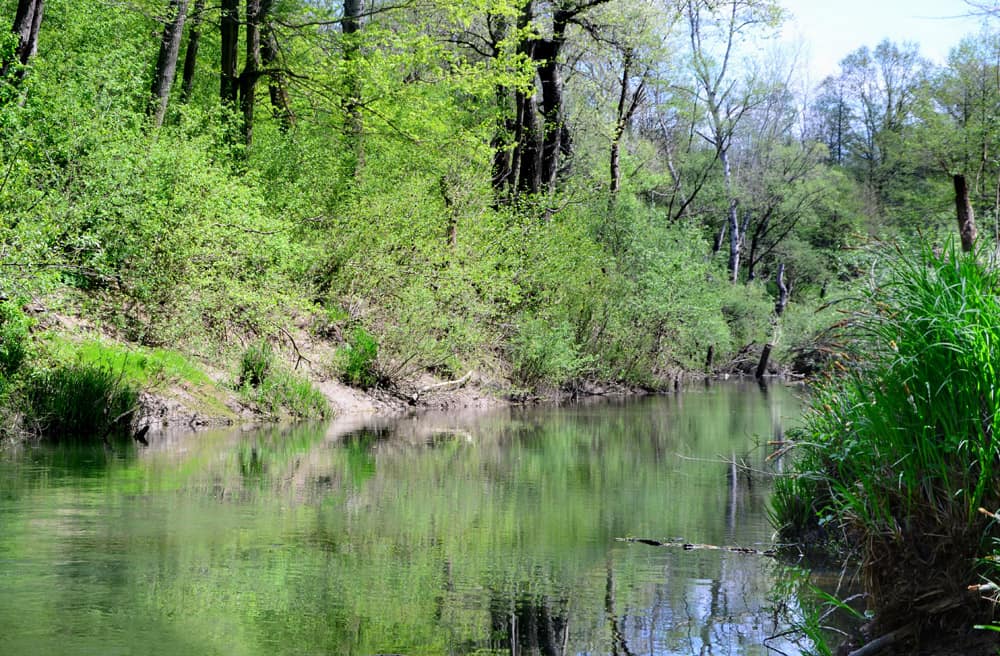Река Шебш